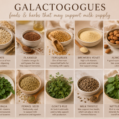 Galactogogues - foods and herbs that may support milk supply