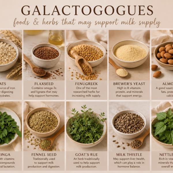 Galactogogues - foods and herbs that may support milk supply