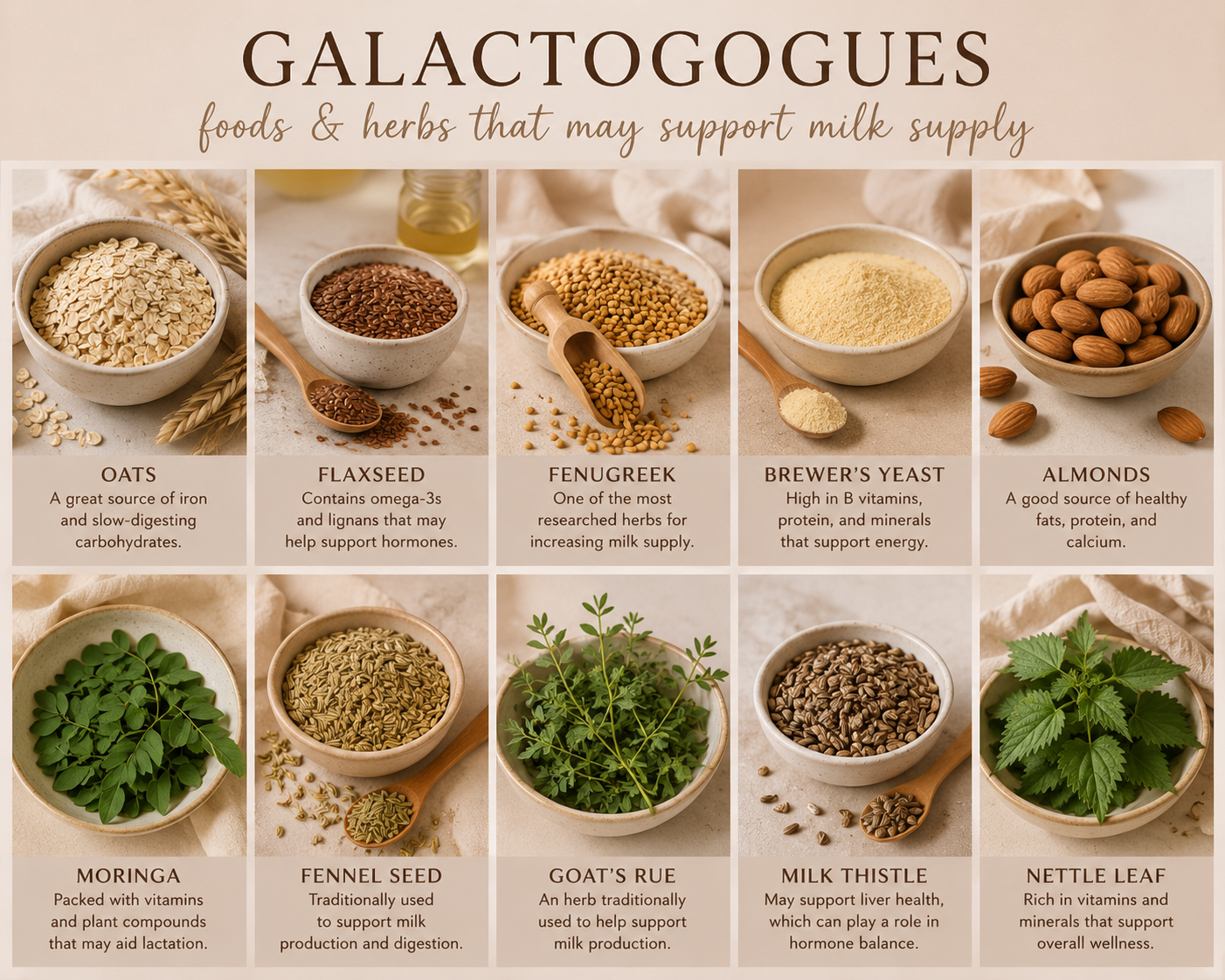 Galactogogues - foods and herbs that may support milk supply